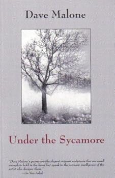 Paperback Under the Sycamore Book