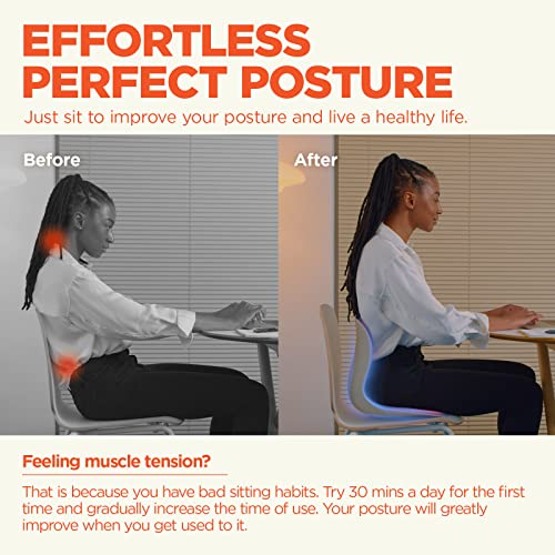 Curble-WIDER-Ergonomic-Lower-Back-Support-Chair-Lumbar-Support-for-Back-Posture-Corrector-and-Low-Back-Pain-Relief-Portable-and-Perfect-for-Office-Chair-and-Work-form-Home-Black