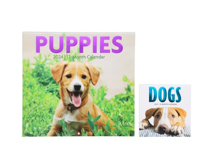 Amazon.com: 2024 Full Size Wall Calendar Puppies 12 MONTH with Free Dogs  Mini Calendar : Office Products