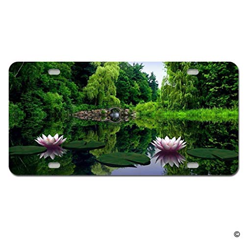 Water Leaf The Best Amazon Price In Savemoney Es