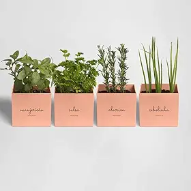 Kit Plantio Completo Minha Horta Plástico Vaso Autoirrigável Substrato Sementes Jardim Hortaliças (Rosa Salmão)