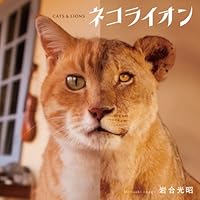 ネコライオン 4904845315 Book Cover