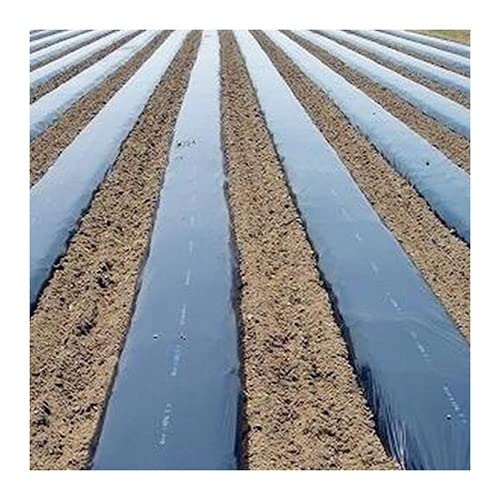 IEOWY Telo di plastica, Membrana Impermeabile, polietilene, 10 m, 0,008 mm, pacciamatura in plastica Nera PE, per Copertura del Terreno da Giardino (Larghezza 1,2 m) (Larghezza 1,2 m) IEOWY Telo di plastica, Membrana Impermeabile, polietilene, 10 m, 0,008 mm, pacciamatura in plastica Nera PE, per Copertura del Terreno da Giardino (Larghezza 1,2 m) (Larghezza 1,2 m)