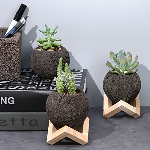 Natural Lava Stone Succulent Pots Set Of 4, 2.15-2.5In Mini Succulents Planter For Cactus, Herbs, Aloe, Good Drainage Volcano Rock Plant Pot With Stand For Home Indoor Outdoor Decor Housewarming Gift #TOP5