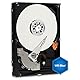 Western Digital 1600AAJS 160 GB 8,9 cm (3,5 Zoll) interne Festplatte SATA II 7200RPM 8MB Cache