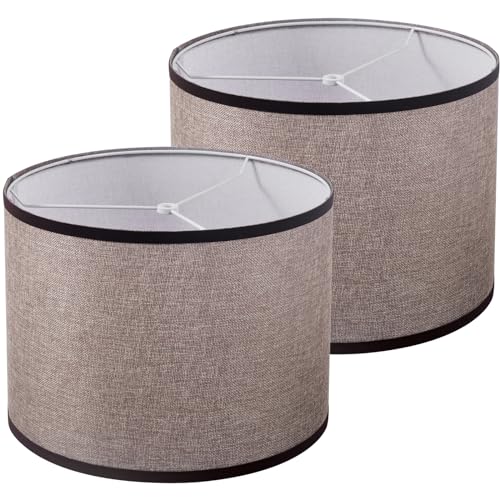 Leyinpei Lamp Shades Set Of 2 cover