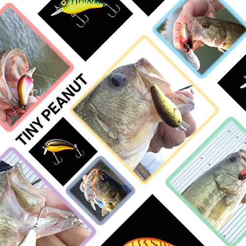 ダイワ(DAIWA) バス タイニーピーナッツ チギル SR ルアー 8枚目