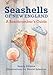 Seashells of New England: A Beachcomber's Guide