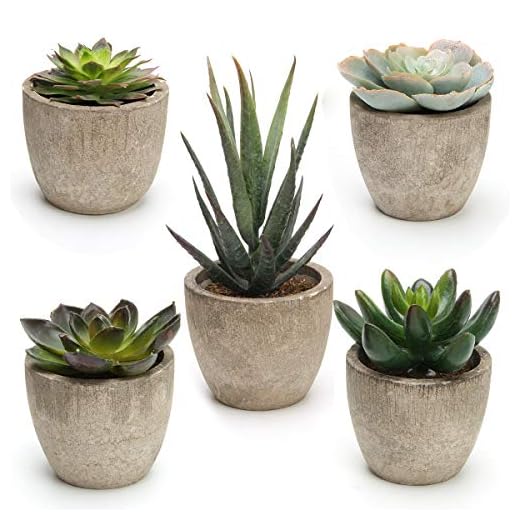 23+ Stunning Fake Plants to Elevate Your Outdoor Landscaping 4 Coitak Artificial Succulent Plants Potted, Assorted Decorative Faux Succulent Potted Fake Cactus Cacti Plants with Pots, Set of 5