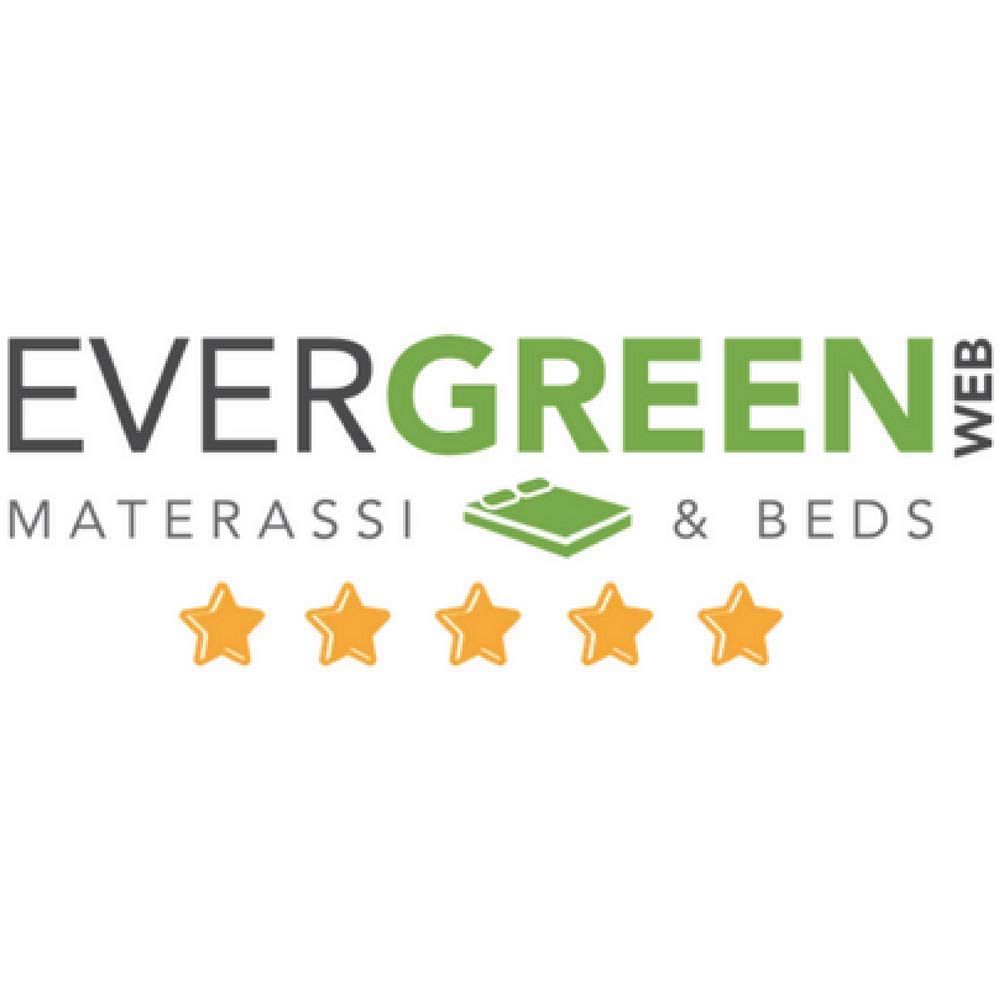 EVERGREENWEB Para poduszek pod kark, 9 cm wysokości, ortopedyczne poduszki podpierające kark, podwójne poduszki z aloesu i bawełny ze zdejmowanymi poszewkami, 100% pianki z pamięcią kształtu,