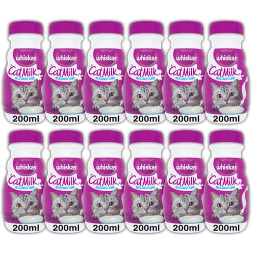 Can dogs drink cat milk