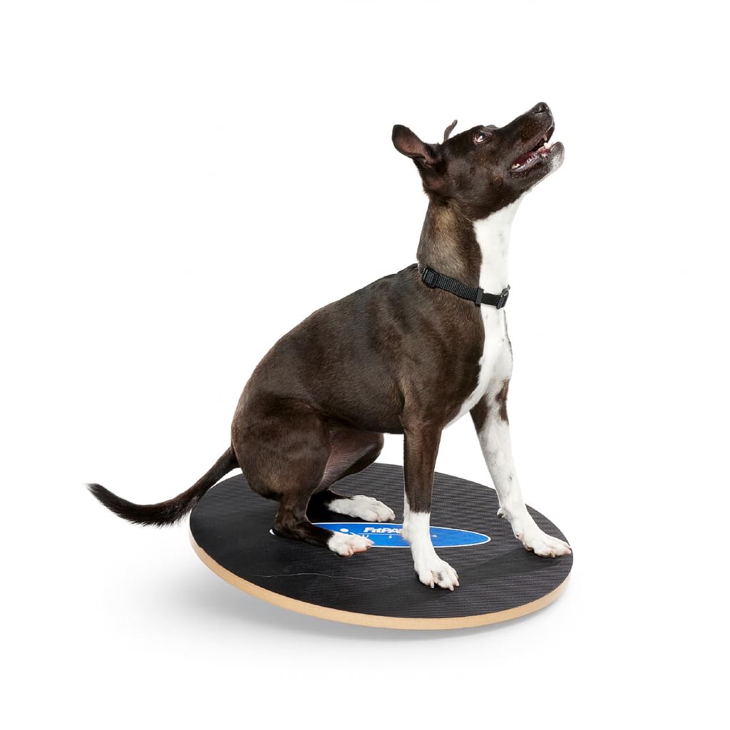 Ball Dynamics Int. LLC FitPAWS Planche d'Equilibre Osciller pour Chien 50 cm