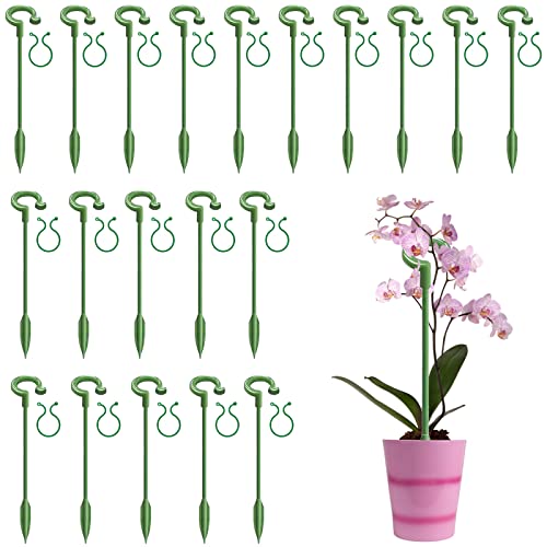 YQYAZL Lot de 40 tuteurs de support pour plantes en pot, plantes grimpantes et roses 28 cm Cover