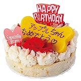 犬用 誕生日ケーキ(鶏肉のミートローフ ケーキ)無添加 名入れ可 (名入れ可・メッセージ クッキー付)