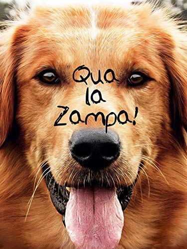 Qua la zampa!