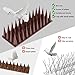 Chaohua Bird Spikes, 9 Pack Bird Deterrent Spikes for Small Squirrel Cat Woodpecker Crow and Raccoon, Pigeon Spikes for Outside Fences Walls and Roofs to Keep Birds Away