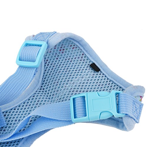 Dolce Cucciolo di Cane Guinzaglio Imbracatura