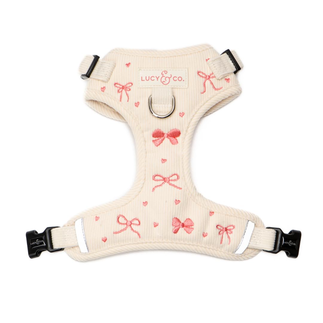 Lucy & Co. Ever So Sweet No-Pull Dog Harness, Adjustable Front Clip Harness with Comfort Padding, X-Small