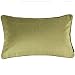 McAlister Textiles Matt Velvet - Funda de cojín de Terciopelo Mate, Color Verde Lima de 60 x 40cm