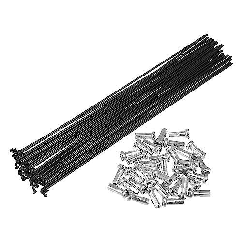 Rayons vélo 14G 218mm noir en acier carbone avec écrous pour roue arrière
