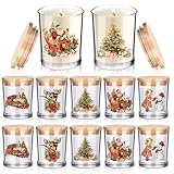 Ziliny 10 Pcs Vintage Christmas Glass Candle Jars Empty Containers Bulk 7 oz Glass Jars with Cork Lids Tins for Christmas Holiday Candle Making Storing Biscuits Tea Party Favors