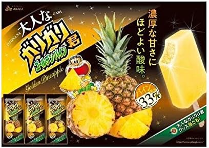 Amazon 赤城乳業 大人なガリガリ君 ゴールデンパイン100ml 24袋 赤城乳業 氷菓 シャーベット 通販