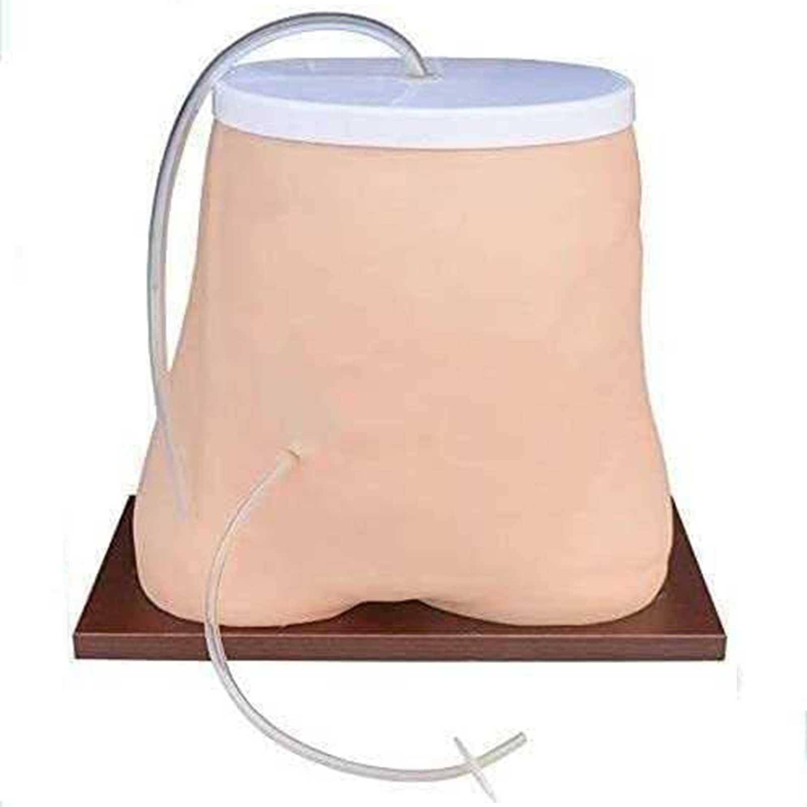 Modèle Anatomique de l'abdomen, simulateur de dialyse péritonéale, modèle de Mannequin d'anatomie de modèle de dialyse péritonéale sur l'éducation dans l'éducation pour la démonstr,