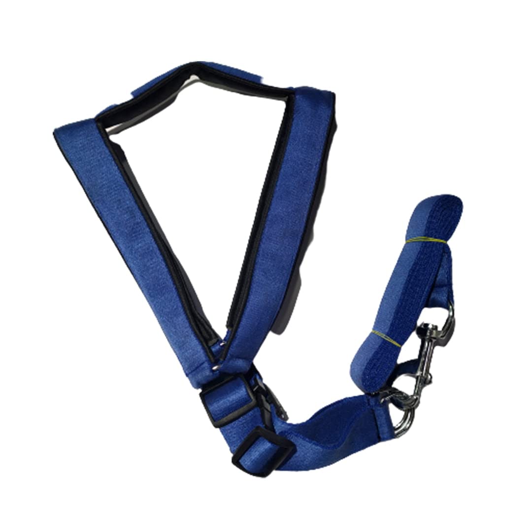 Supervet Dog Adjustable Harness with Leash Comfort in Step- Supervet (Large) (B0B12WXLDV) Amazon Price History, Amazon Price Tracker