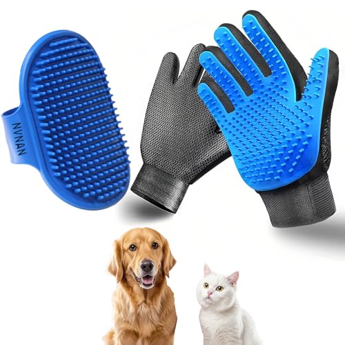Where many dogs like to be rubbed