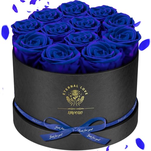 Impouo Forever Flowers 12 Roses in A Box Real Preserved Roses Birthday Gift for Women Mothers Day Anniversary Red Rose (Blue 12 Rose)