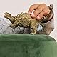 SCHLEICH Dinosaurs | Ankylosaurus 15023 | detailgetreuer Dino | Dinosaurier Spielzeug zum Sammeln | tolles Geschenk für Mädchen und Jungen | Dino Spielzeug ab 3 Jahre | 14 x 7 x 11 cm