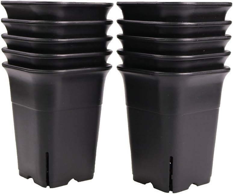 MUZHI 12PCS-Pack Black Square Plastic Succulent Plant Pots for Haworthia Cooperi Plants Flower Cactus etc, Black Nusery Pot