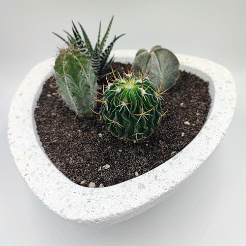Pot de fleurs en pierre blanche premium pour intérieur moderne - 5