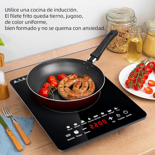 Hornos Y Parrillas, Kitchen parrilla induccion magnetica Marca Summala (3)