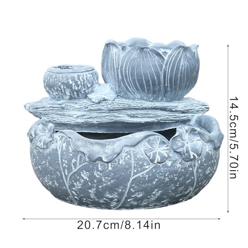 Pot de fleurs succulentes pour votre décoration intérieure - 5
