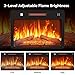 DWVO 23 Inches Electric Fireplace Insert, Recessed Fireplace Heater with Remote Control, Adjustable Temperature, 6H Timer, Adjustable Flame Brightness, 120V 1400W, Firewood