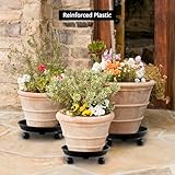 QWORK B0DB57KJDY lato 4