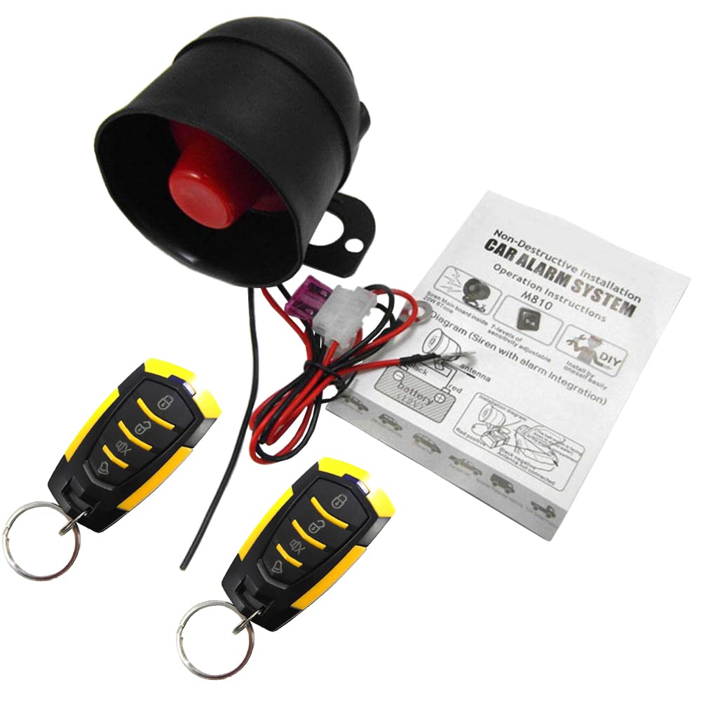 Riloer 12V Allarme auto universale Vibrazioni Sistema antifurto per auto Dispositivo per retrofit elettropneumatico Sistema di chiusura centrale, Accessori di allarme auto Protezione di sicurezza auto