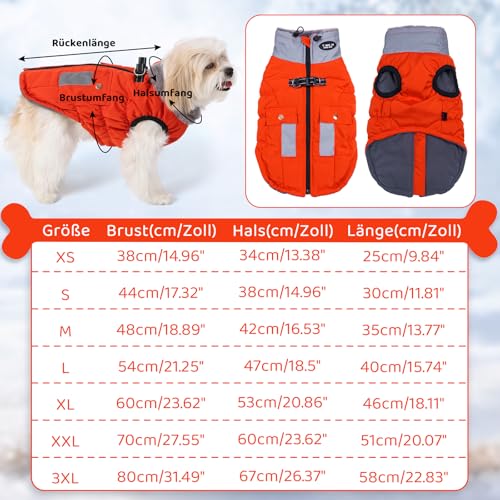 Savlot Hundejacke mit Kabelbaum wasserem Hund Wintermantel für kleine mittelgroße Hunde Hundemantel für Labrador Chihuahua Französische Bulldogge Hundejacke mit reflektierender Tasche M