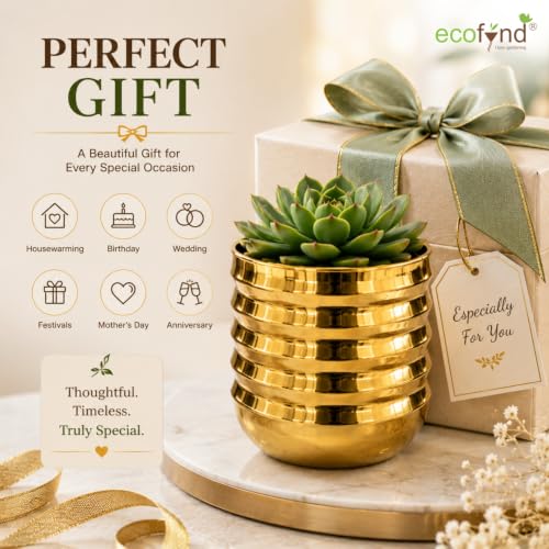 Image of ecofynd 1 Pack 5 Inch Gold Metal Flower Pot, Modern Decorative Indoor Planter for Small Plants, Tabletop Plant Pot for Home, Office, Living Room, Bedroom, Shelf & Windowsill Decor (POT057-GO)
