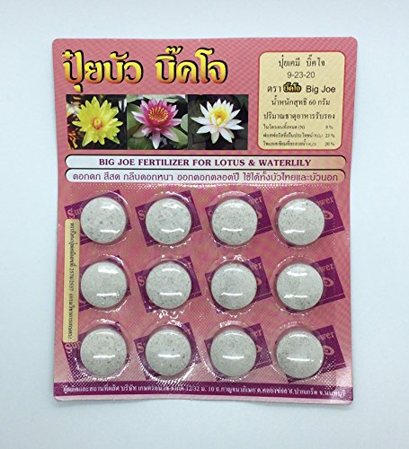 (1 Pack, 12 Tablets)Big Joe Fertilizer Tablet for Lotus and Waterlily by Angun Shop