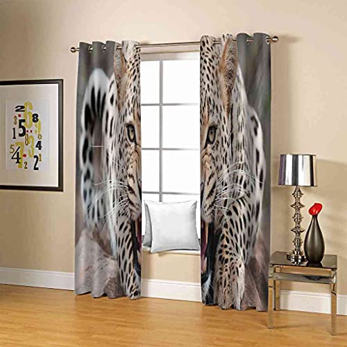 Rideaux 3D guépard pour créer une ambiance jungle et tamisée dans la chambre des enfants - 5
