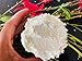 Oslove Organics Organic Unrefined Shea Butter 1 LB - African,100% Pure, Non-GMO, Fresh, Rich and Creamy | Use for Body/Hair moisturizing butters, Lip balms, soap base, salves and deodorants