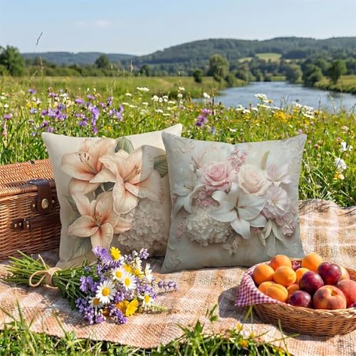 �N�b�V�����J�o�[ �h�����O 50x50 cm �E�g�h�A�p ri�l��? ������� ?�� �h? ���ʈ�� �B���Wppa�[ ��p�e�B�I �erasu �֎q�L�����v �o���R�j�[ ��?���J�o�[ �l�G�ʗp?���?�� �s���N 0z-256