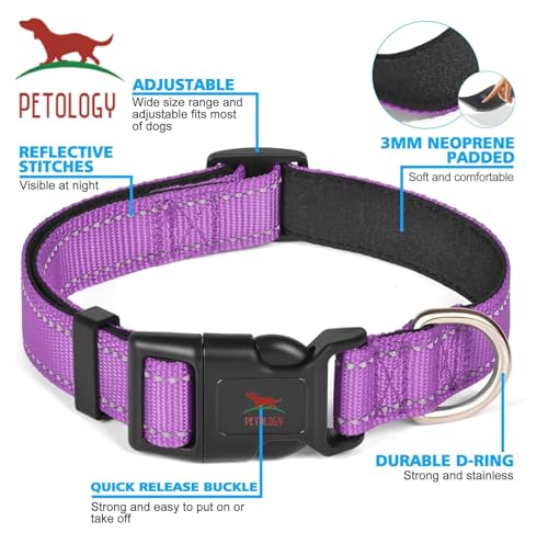 Image of Petology Reflective Adjustable Dog Collar for X-Large Dogs (50-60 cms) | Soft Neoprene Padded Nylon Pet Collar with Safe & Quick Release Buckle | Comfortable, Lightweight & Durable