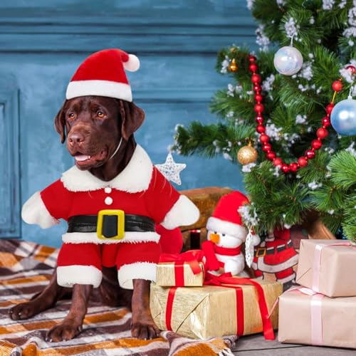 Kleidung für Haustiere Weihnachtsmann, Haustier Weihnachtskostüm, Katze Hund Weihnachtskostüm, Weihnachten Haustier Kleidung, Für Neujahr Christmas Party Cute Cats and Dogs Kostüm(L)