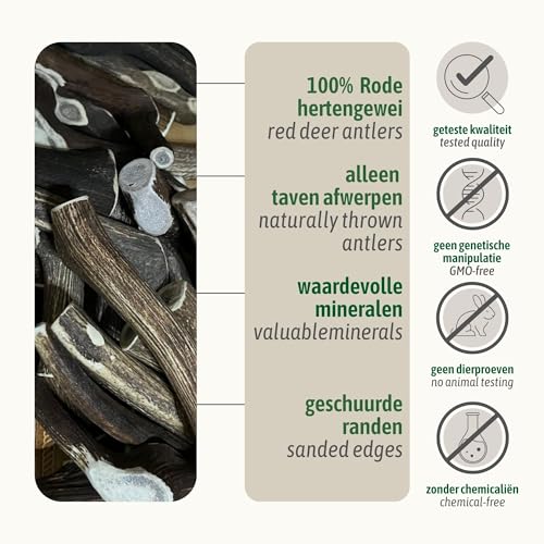 ChronoBalance® XL Kaustange für Hunde ganze Stücke als Kauspielzeug: 100% Hirschgeweih für Hunde, Hundespielzeug, Leckerli Zahnpflege, Kausnack, Geweih Kauknochen, Natürlich ohne Zusätze (1er Set)