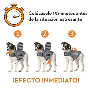 ThunderShirt for Dogs, Large, Heather Gray Classic - Dog Anxiety Relief Calming Vest ThunderShirt for Dogs, Large, Heather Gray Classic – Dog Anxiety Relief Calming Vest