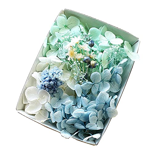 Amazon｜ハーバリウム花材セット 材料 アロマワックスサシェ  