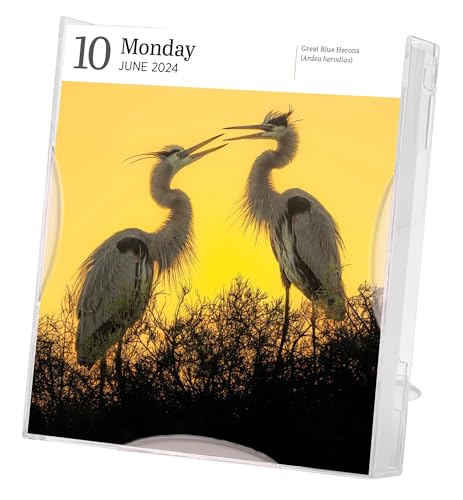 Audubon Birds Page-A-Day Gallery Calendar 2024: Hundreds of Birds, Expertly Captured by Top Nature Photographers - Image 4